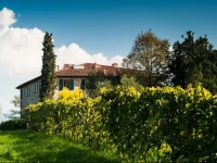 Podere Scaluccia 