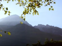 B&B La Betulla 