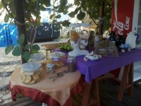 Buenavistasurfmed 