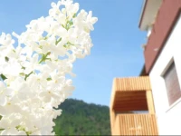 B&B Casa sul Lago - Appartamenti 