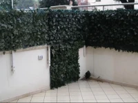Appartamento Gallinara 