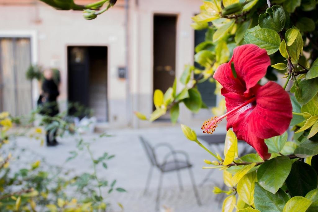 Appartamento Rosso Buoni e Cattivi 