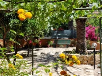 Marcella House 