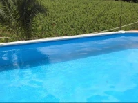 Casa Vacanze Dispensa San Pietro 