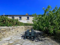 Agriturismo Fattoria di Sommaia 