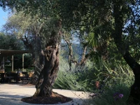 Locanda al Colle 