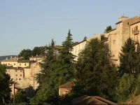 B&B Leone 
