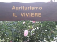 B&B Il Viviere 