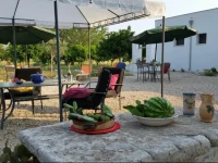 Agriturismo Occhineri 