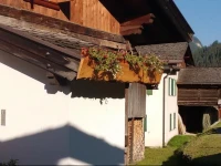 La PavГІlera 