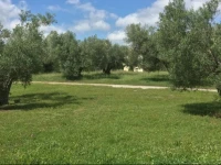 Il Podere 