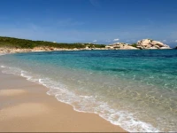 Laconia 