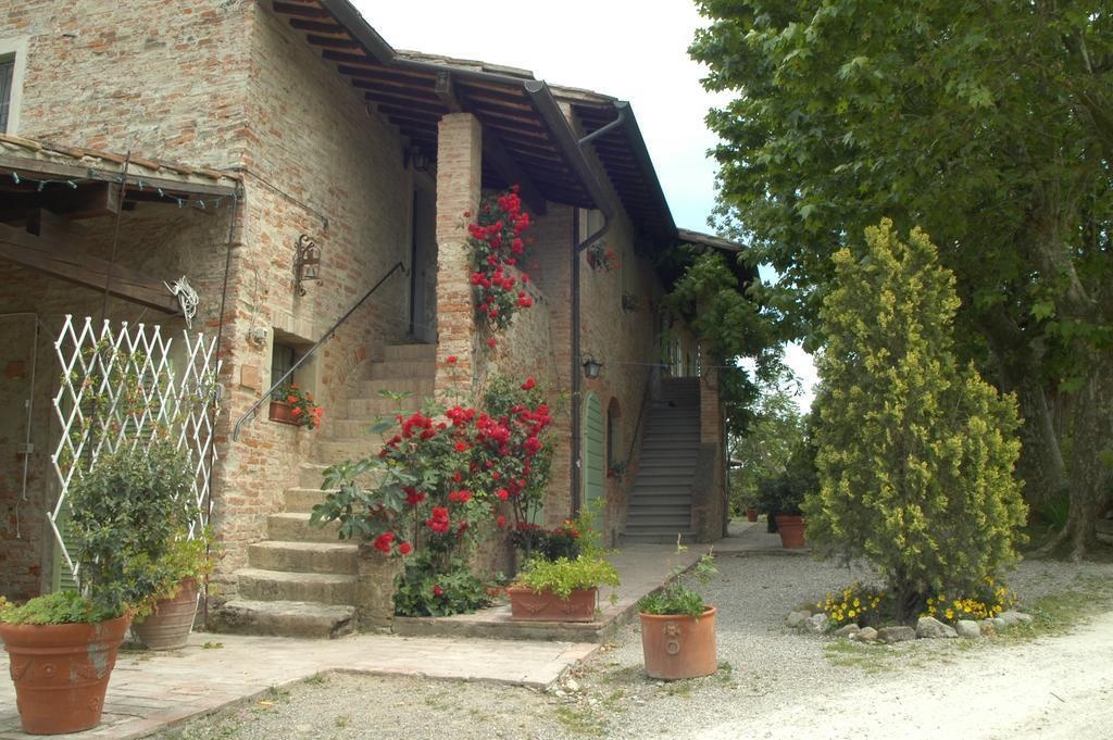 Tenuta il Pino 