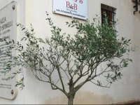 San Pio Bed & Breakfast 