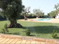 Hotel Vicario Puglia 