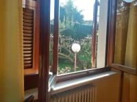 Il Platano Di Giulio 