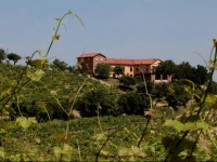 Marenco Camere Con Vigna 