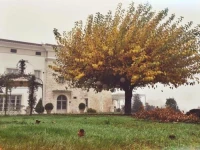 Il Maniero 