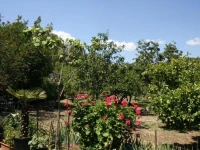 Casa Campagna 
