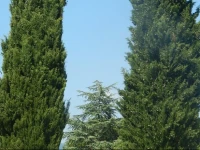 Ai Ranghi Agriturismo 