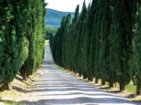 Borgo Di Pietrafitta Relais 