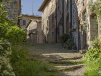 Castello di Fonterutoli 