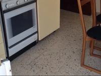 Holidays Apartments & Rooms 