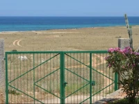 Pineta Sul Mare B&B 