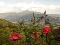 Agriturismo Le Maceie 