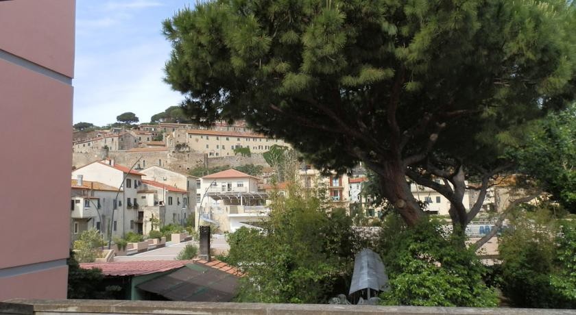 Cav Brunella 
