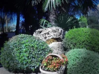 Hotel Liola 