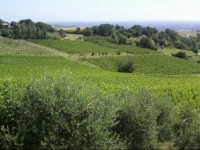 Agriturismo Monte Valbelle 