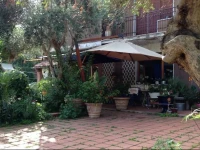 B & B Falcone 