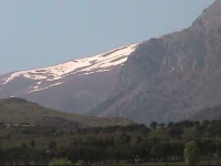 Tra Gli Ulivi 