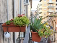 A Casa Di Sebina 