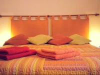 B&B Sunflower 