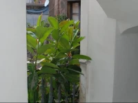 Civitas B&B 