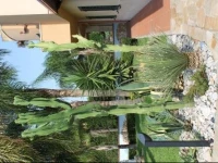 Villa Terry 