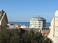 Rosmarie 