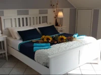 Central Park B&B 