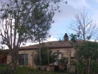Fattoria Riomoro 