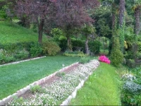 B&B Villa Adelaide 