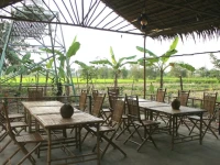 Green Village Homestay 