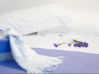 B&B Palazzo Boscareto 