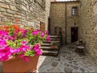 San Martino agli Ulivi 
