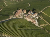 Palas Cerequio 