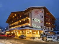 Hotel Ladinia 
