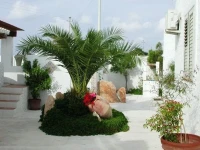 Hotel Macondo 