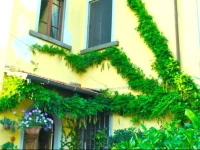 BeB Bio Vegan Vecchia Sommavilla 
