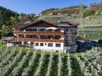 Panorama Hotel Garni BГјhlerhof 